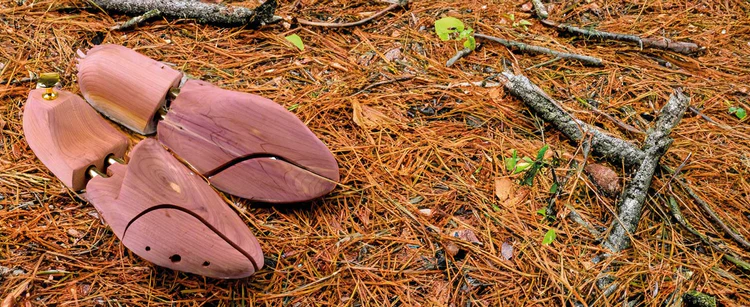 A pair of wooden shoe forms placed on a forest floor covered with pine needles and scattered twigs, reflecting the natural textures and earthy tones of the surroundings.