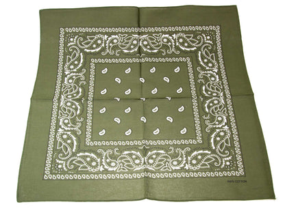 21 Inch Paisley handkerchief